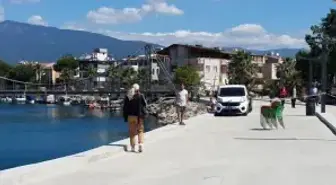 Balıkesir'de teknenin batması sonucu kaybolan 2 kişi aranıyor (2)