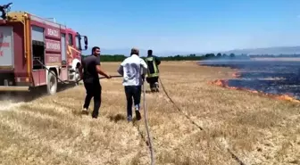 Bilinçsizce yakılan anız 200 dekar alanı siyaha bürüdü