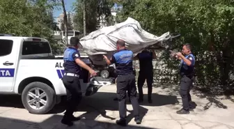 Hatay Büyükşehir, Çevre Sağlığı ve Trafik Güvenliği Denetimlerine Devam Ediyor