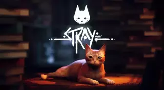 Stray Steam'de anlık oyuncu rekoru kırdı