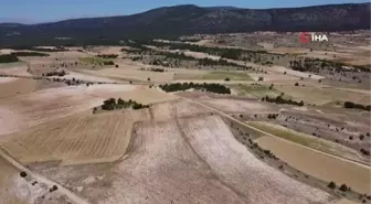 Taşlık ve kıraç alanı değerlendirip lavanta bahçesine dönüştürdü