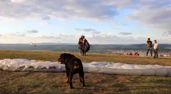 Uçmayı seven köpek Sakarya semalarında işte böyle dolaştı