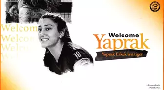 Son dakika... Eczacıbaşı Dynavit, smaçör Yaprak Erkek'i transfer etti
