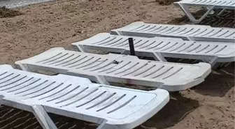 Büyükada'da halk plajına giden vatandaşlar 'striknin' tehlikesi ile karşı karşıya