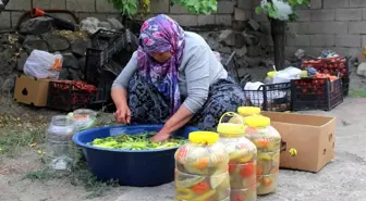 Erzincan'da kadınların turşu mesaisi başladı