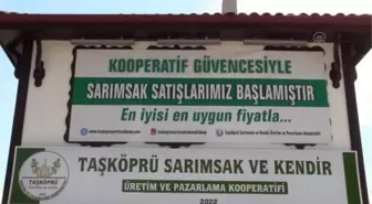 KASTAMONU - Taşköprü sarımsağında fiyat dalgalanmaları kooperatifle önlenecek