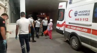 ANTALYA'DA SİLAHLI BIÇAKLI 'HAYVAN OTLAMA' KAVGASI: 2 ÖLÜ, 1 YARALI