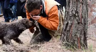 Dünyanın en pahalı mantarı! Köpeklerle aranıyor, kilosu 700 ila 4 bin euro arasında