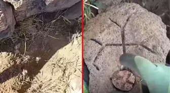 Definecinin kazmayı vurup topraktan çıkardığı taşın içi altın dolu çıktı