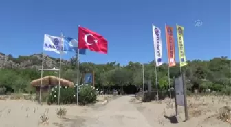 Kum zambaklarıyla ünlü halk plajına 'Caretta Dostu Plaj' unvanı verildi