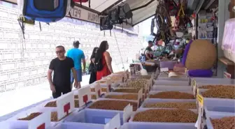 'Petshopların kasaplar odasına bağlanması yanlış anlaşıldı'