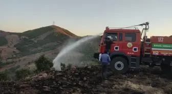 Son dakika haber | Bingöl'de çıkan orman yangınları söndürüldü