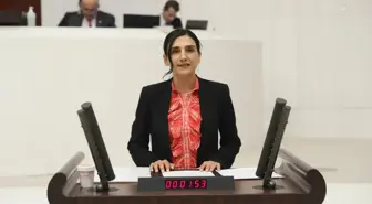 Son dakika gündem: Hdp'li Coşkun'dan Fuat Oktay'a: 'Medya ve Gazetecilere Yönelik Artarak Devam Eden Baskı ve Saldırıların Gerekçesi Nedir'