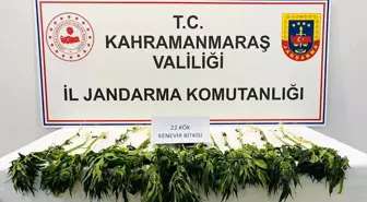 Kahramanmaraş'ta uyuşturucu operasyonu