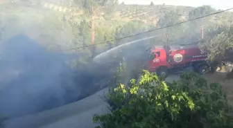 Son dakika haber | Kazdağları eteklerindeki zeytin bahçesinde çıkan yangın ormana sıçramadan söndürüldü