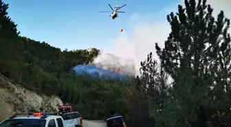 MSB, Kütahya'da devam eden orman yangınları için 8 helikopter görevlendirdi