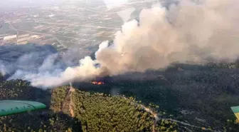 Son dakika haberleri... Söke'de orman yangını: 7 helikopter ve 4 uçakla müdahale devam ediyor