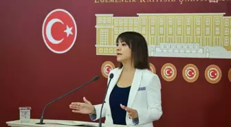 Taşcıer: 'Kadınlar Kimsenin Evine Bağlayabileceği Kölesi Değil'