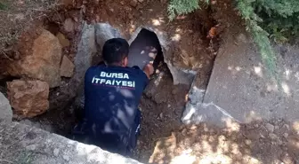 Yavrularıyla birlikte zifte yapışan anne köpek itfaiye ekiplerince böyle kurtarıldı