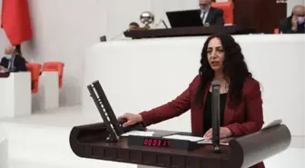 Hdp, Yaz Aylarındaki Boğulma Vakalarını TBMM Gündemine Taşıdı