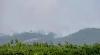 YUNANİSTAN'DAKİ ORMAN YANGINI, TÜRKİYE'DEN ENDİŞE İLE İZLENİYOR