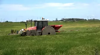 Çeltik alanlarında larva ile mücadele