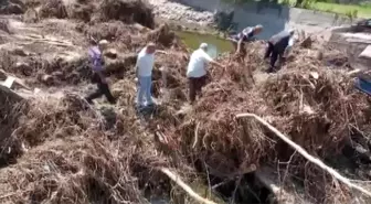 Köprüsü yıkılan köylüler, ağaç köklerinden yaptıkları patika yol ile karşıya geçiyor