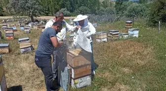 Binali Yıldırım memleketi Refahiye'de sezonun ilk bal hasadına katıldı