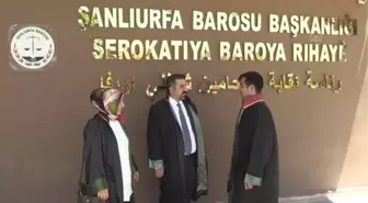 ŞANLIURFA - Avukat 3 kardeş adliye koridorlarında adaleti savunuyor