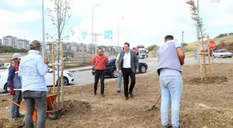 Bandırma Belediye Başkanı Tosun, Çalışmaları Yerinde İnceledi