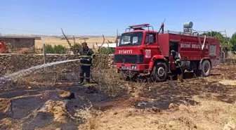 Son dakika haber! Bahçede çıkan yangında inek telef oldu