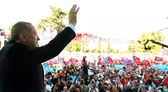 Cumhurbaşkanı Erdoğan, 2022 yılı fındık alım fiyatını açıkladı: 54 lira