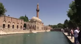 Gaziantep kültür sanat: GAZİANTEP - Güneydoğu Anadolu'da sıcak hava bunaltıyor