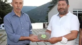 Amasya haberi... Amasya'da yapılan yatırımları incelediler