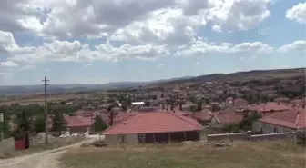 Çankırı'nın Kalfat köyü sakinlerinden İngiltere Başbakanı Johnson için imza kampanyası