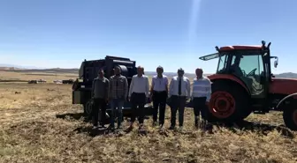 Malatya haberi... Arguvan'da nohut hasat tarla günü yapıldı