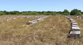 Dededen toruna 3 kuşak arıcıların 'bal yolculuğu' tamamlandı