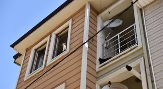 Bursa'da ekipler kötü koku yayılan çöp evde onlarca kediyle karşılaştı