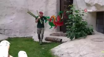 Rusya'da pandalara sürpriz doğum günü partisi