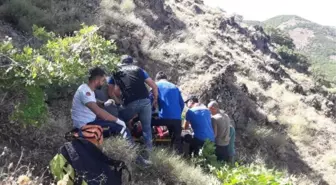 Tunceli haberleri: TUNCELİ'DE KAYALIKLARDAN DÜŞEN ÇOBAN, HASTANELİK OLDU