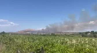 Çanakkale gündem haberi | ÇANAKKALE - Bozcaada'da çıkan örtü yangını kontrol altına alındı