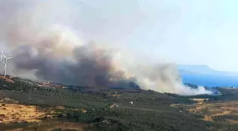 İzmir haberi! İzmir'de ziraat arazisinde çıkan yangın kontrol altına alındı