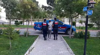 Aksaray haber... Aksaray'da 13 yıl hapis cezası olan şüpheli, jandarma tarafından yakalandı