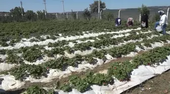 Eskişehir haberi | Atalantekkeli Kadınlar, Tepebaşı Belediyesi'nin Desteğiyle Üretiyor