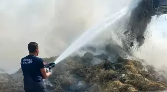 Bursa haberi | Bursa'da hayvan çiftliğinde yangın