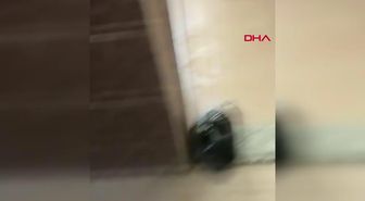MERDİVEN ALTI ÜRETİLEN MİDYELERE EL KONULDU