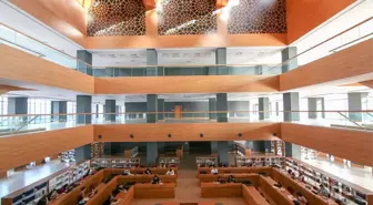 İstanbul 29 Mayıs Üniversitesi Bölümleri