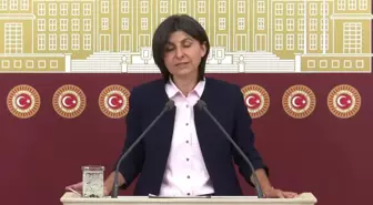 Sibel Özdemir: 'Vize Başvuruları ile İlgili Uygulanacak Politika Mütekabiliyet İlkesine Uygun Olmalı'