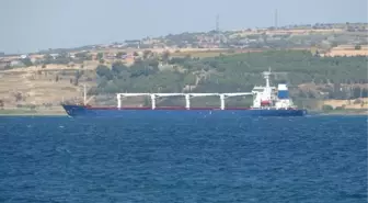 Çanakkale haberleri | Tahıl gemisi Çanakkale Boğazı'na ulaştı