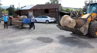 Altınkılıç ailesi, kaybolan sütunlarla ilgili açıklama yaptı